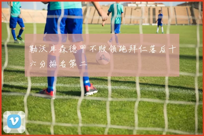 勒沃库森德甲不败领跑拜仁落后十六分排名第二