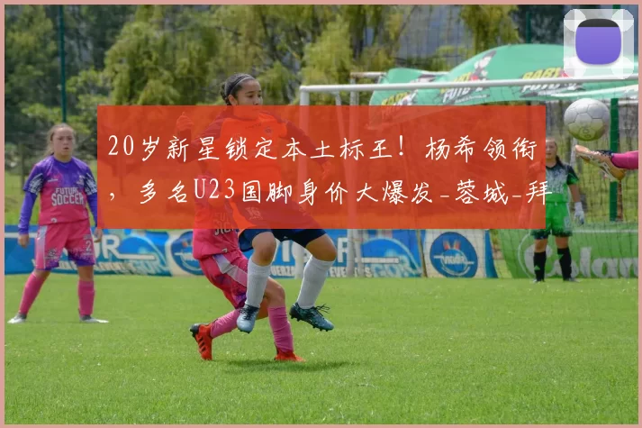 20岁新星锁定本土标王！杨希领衔，多名U23国脚身价大爆发_蓉城_拜合_赛季